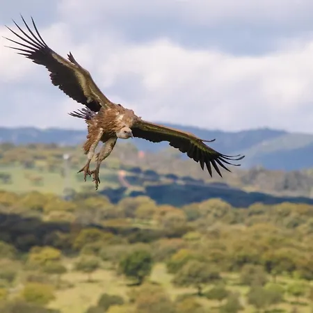 Appartamento Y La Canada En Monfrague *