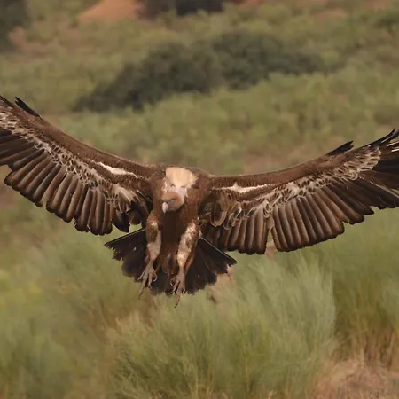 Appartamento Y La Canada En Monfrague