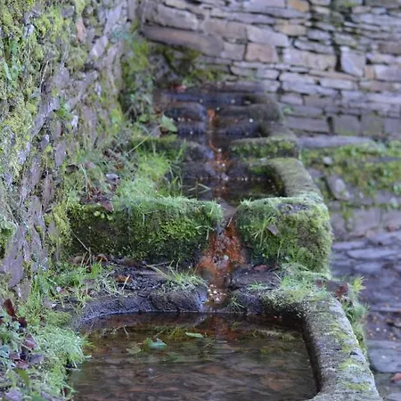 Y La Canada En Monfrague