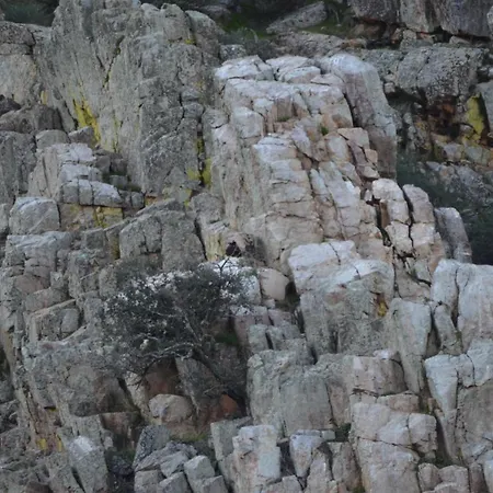 Y La Canada En Monfrague * Torrejón el Rubio