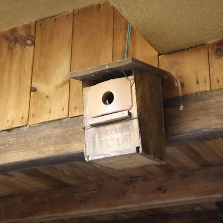 Y La Canada En Monfrague Appartamento