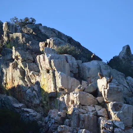 Y La Canada En Monfrague *