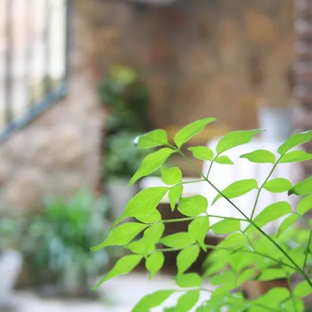 Y La Canada En Monfrague