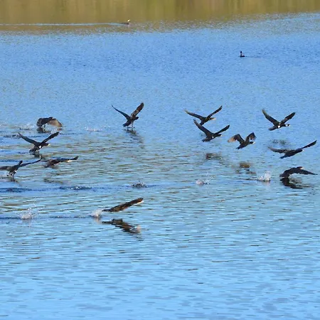 Appartement Y La Canada En Monfrague