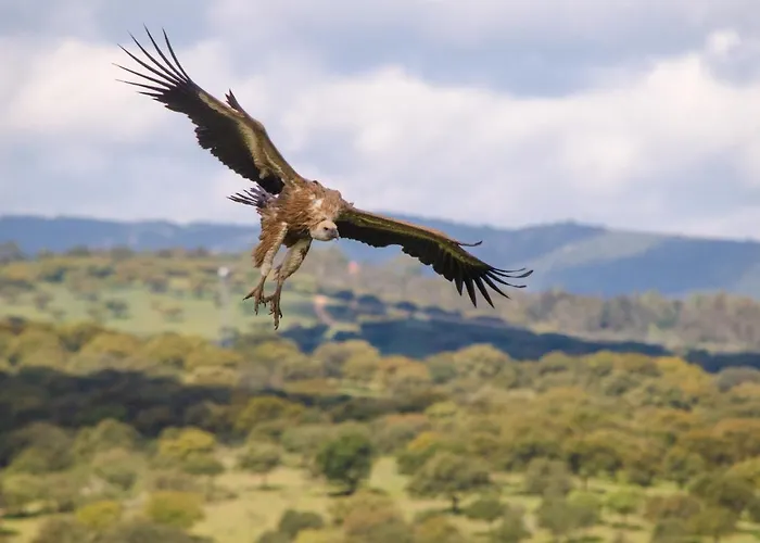 Apartamento Y Monfrague *