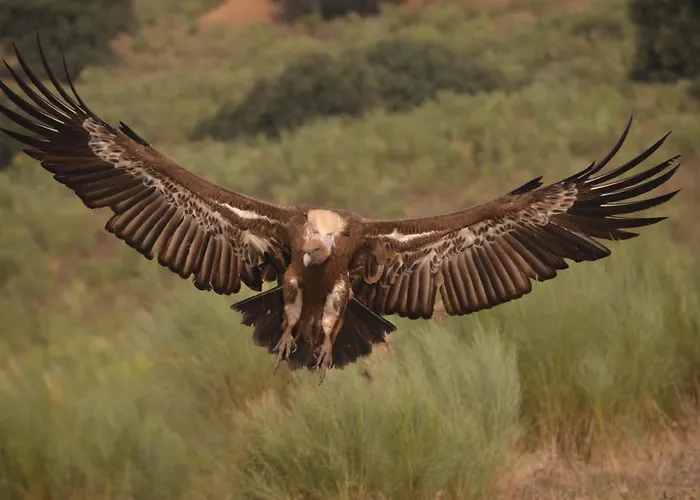 Apartamento Y Monfrague