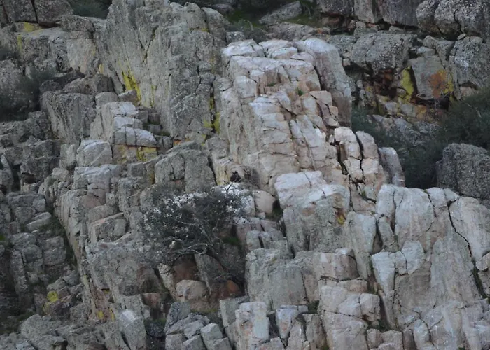 Y Monfrague * Torrejón el Rubio