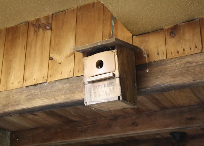 Y Monfrague Apartamento