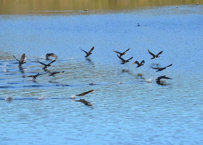 Apartamento Y Monfrague