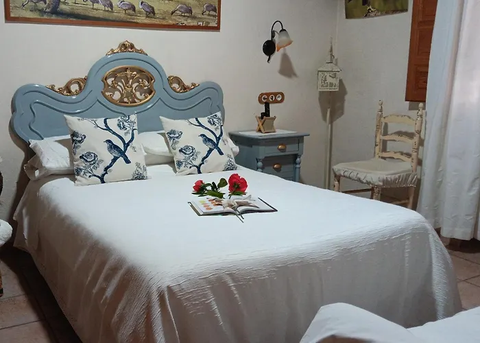 Y Monfrague Torrejón el Rubio